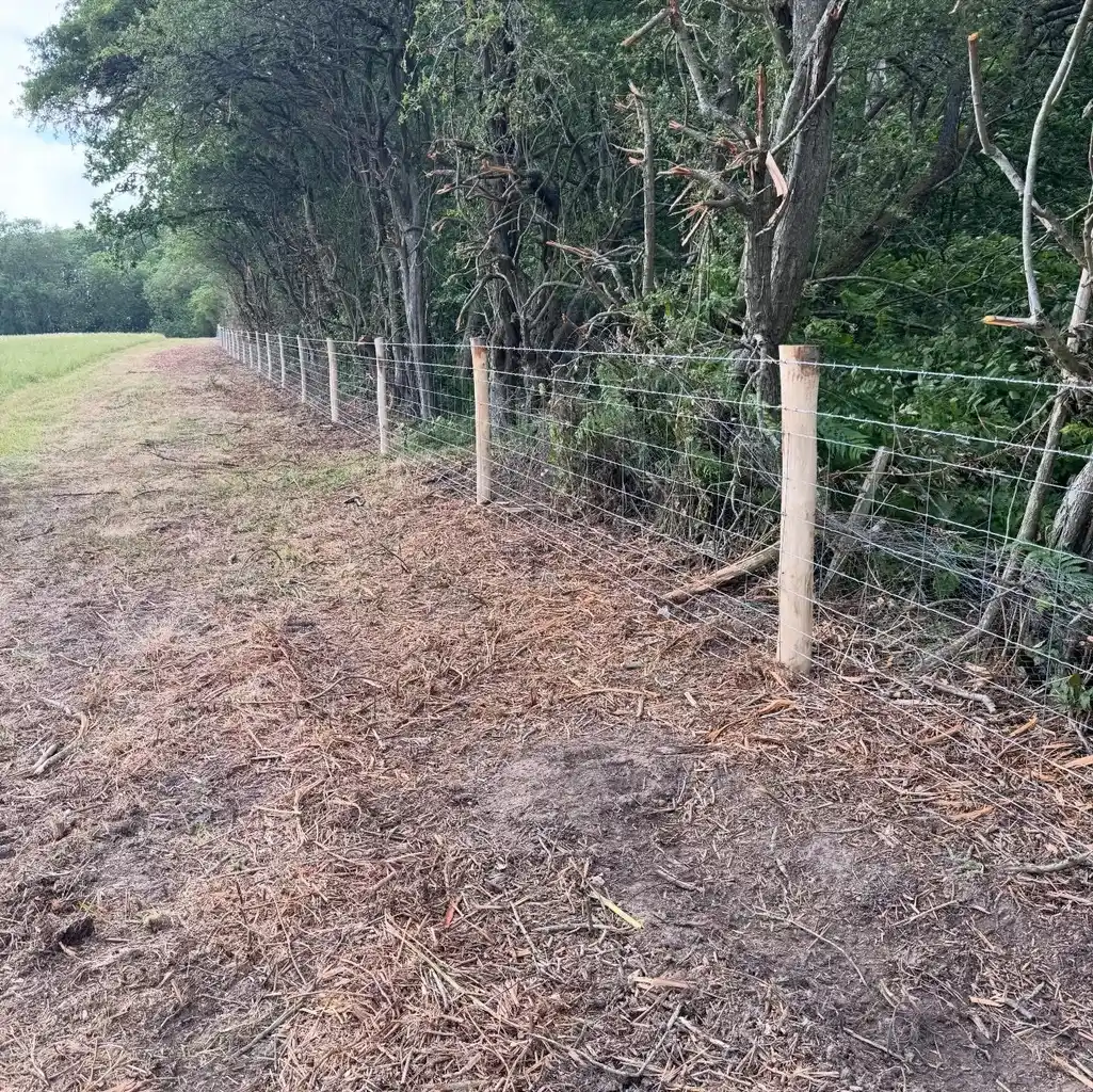 Pearson Fencing agricultural and rural fencing project 21 in Kent and Sussex