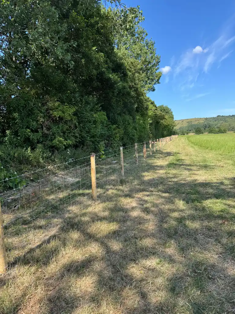 Pearson Fencing agricultural and rural fencing project 08 in Kent and Sussex