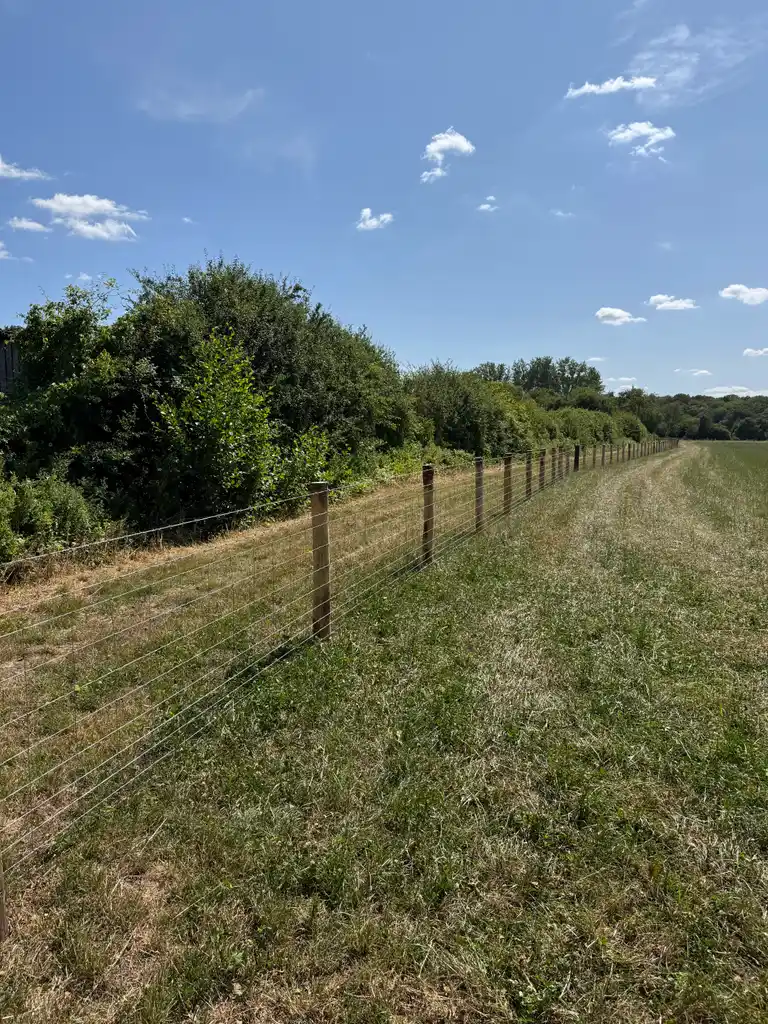 Pearson Fencing agricultural and rural fencing project 06 in Kent and Sussex