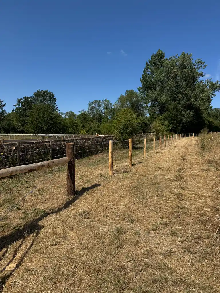 Pearson Fencing agricultural and rural fencing project 09 in Kent and Sussex