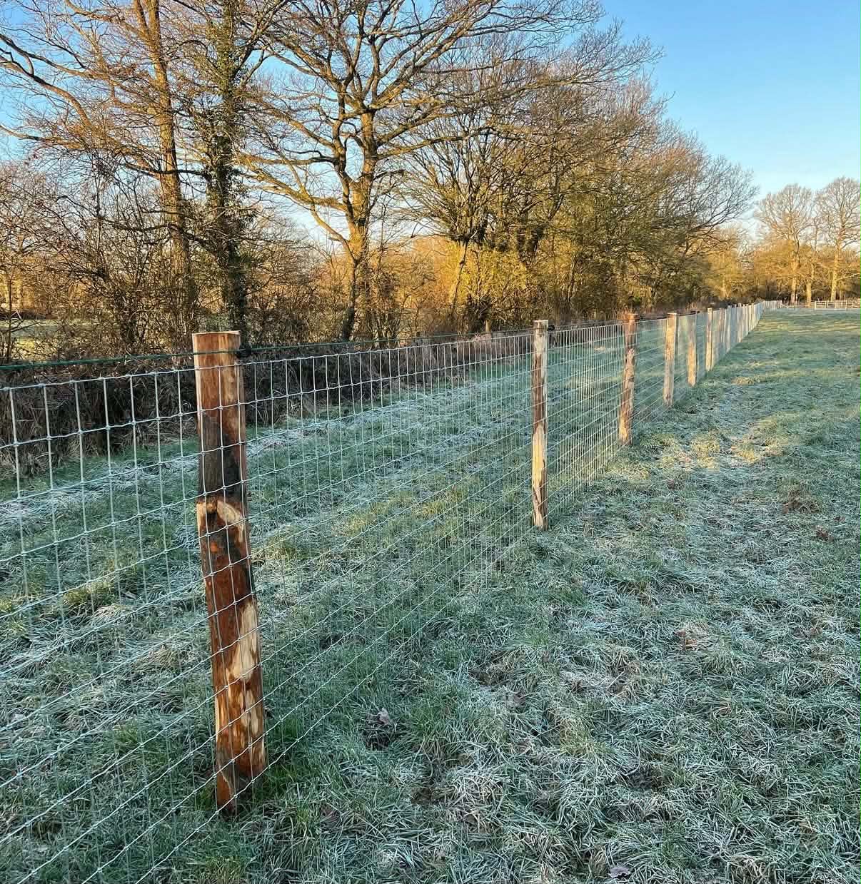 Equestrian mesh fencing beside a frosty paddock