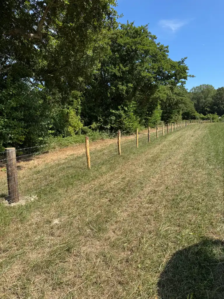Pearson Fencing agricultural and rural fencing project 05 in Kent and Sussex