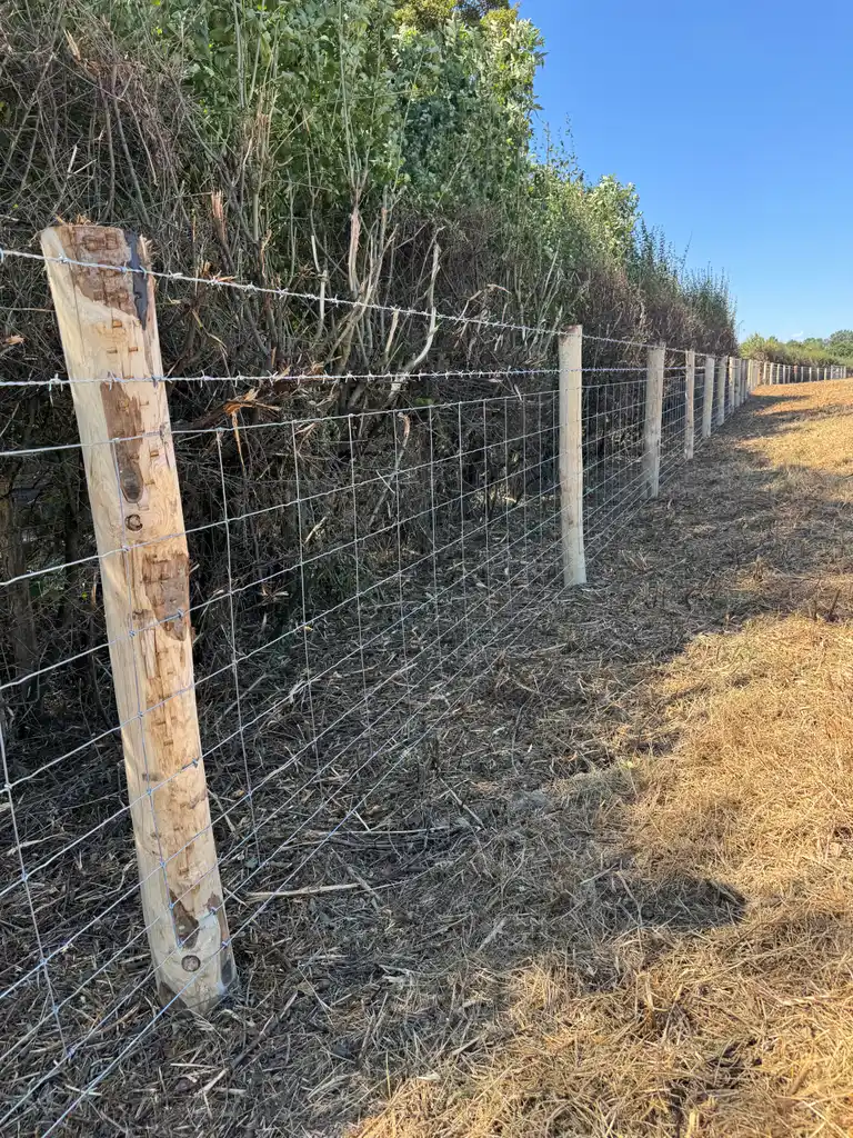 Pearson Fencing agricultural and rural fencing project 20 in Kent and Sussex