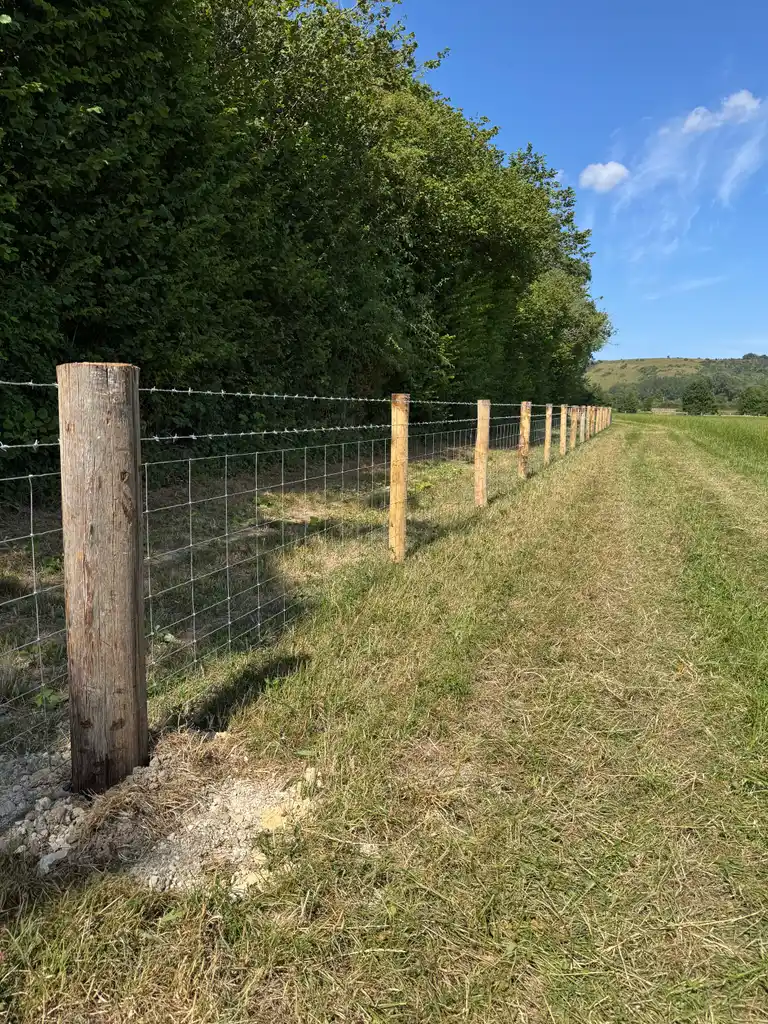 Pearson Fencing agricultural and rural fencing project 07 in Kent and Sussex