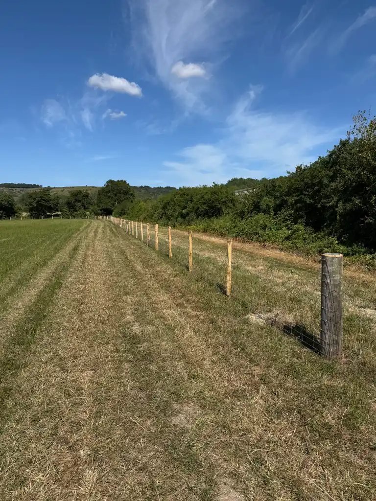Pearson Fencing agricultural and rural fencing project 02 in Kent and Sussex