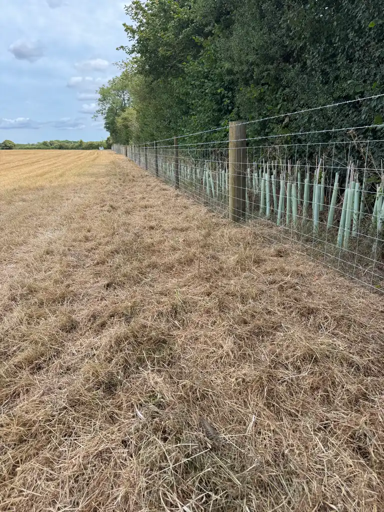 Pearson Fencing agricultural and rural fencing project 14 in Kent and Sussex