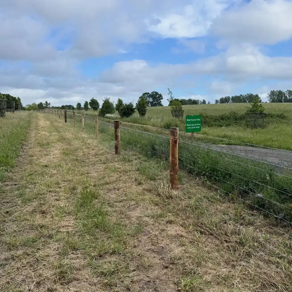 Pearson Fencing agricultural and rural fencing project 18 in Kent and Sussex