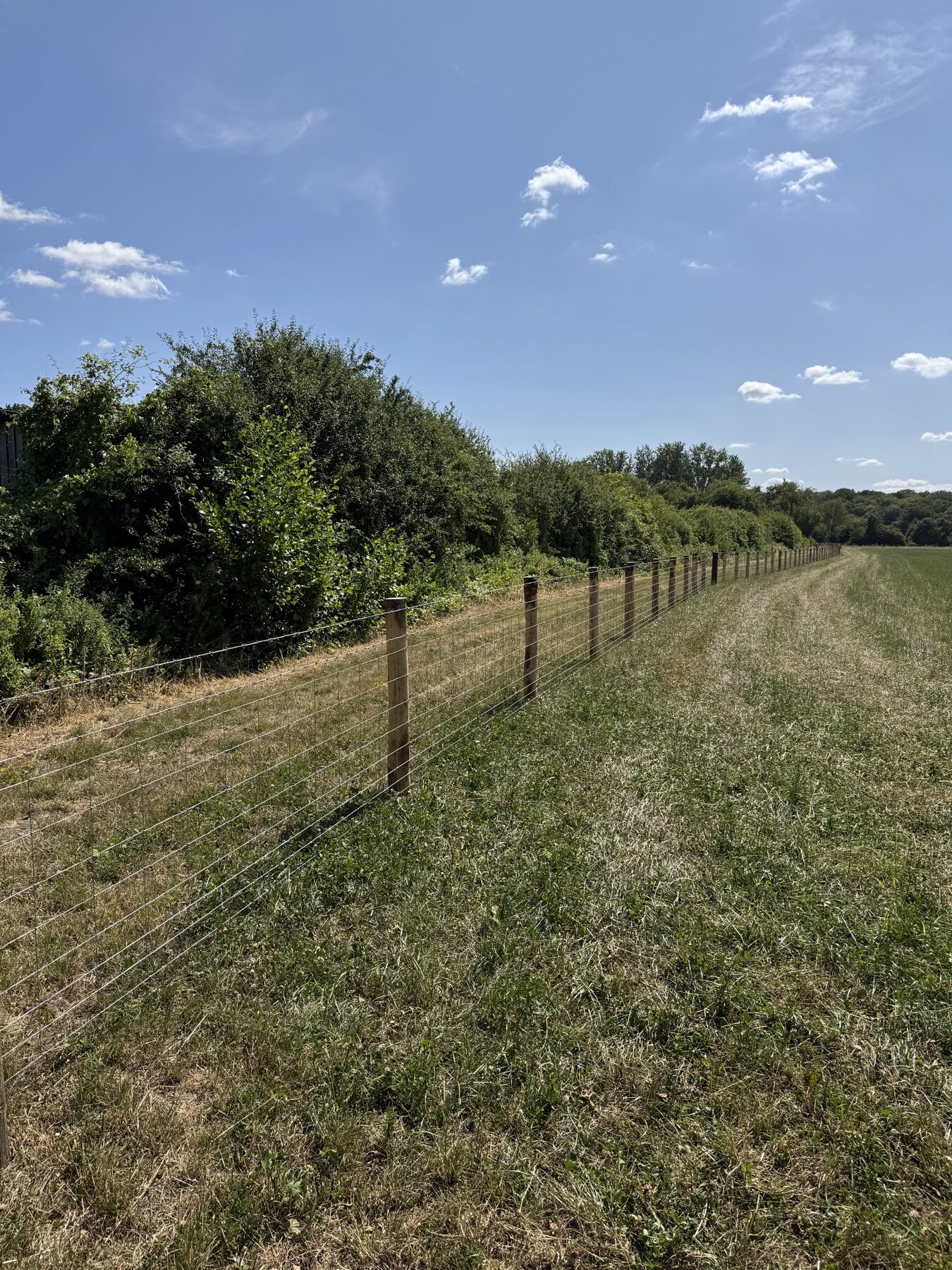 Completed agricultural fencing across a Kent field